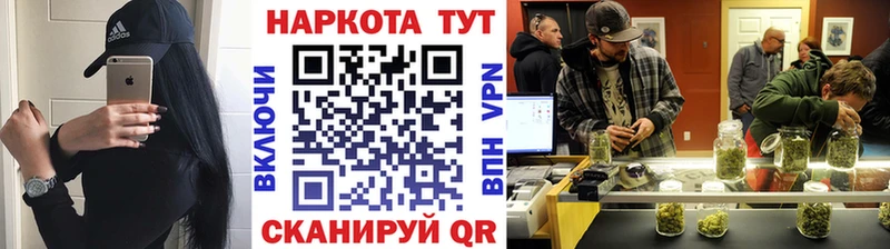 Виды наркотиков купить Новая Ладога Cocaine Меф мяу мяу Галлюциногенные грибы МАРИХУАНА