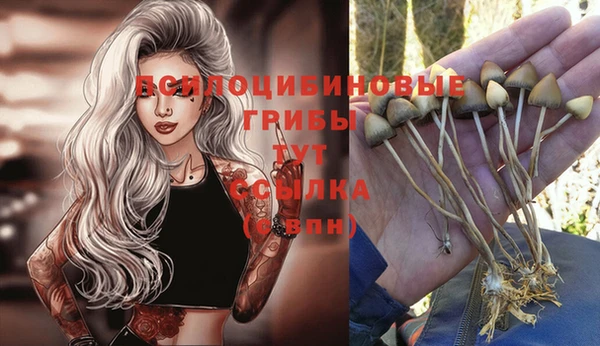 МДПВ Аркадак