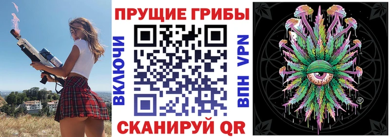Псилоцибиновые грибы прущие грибы  как найти наркотики  Новая Ладога 